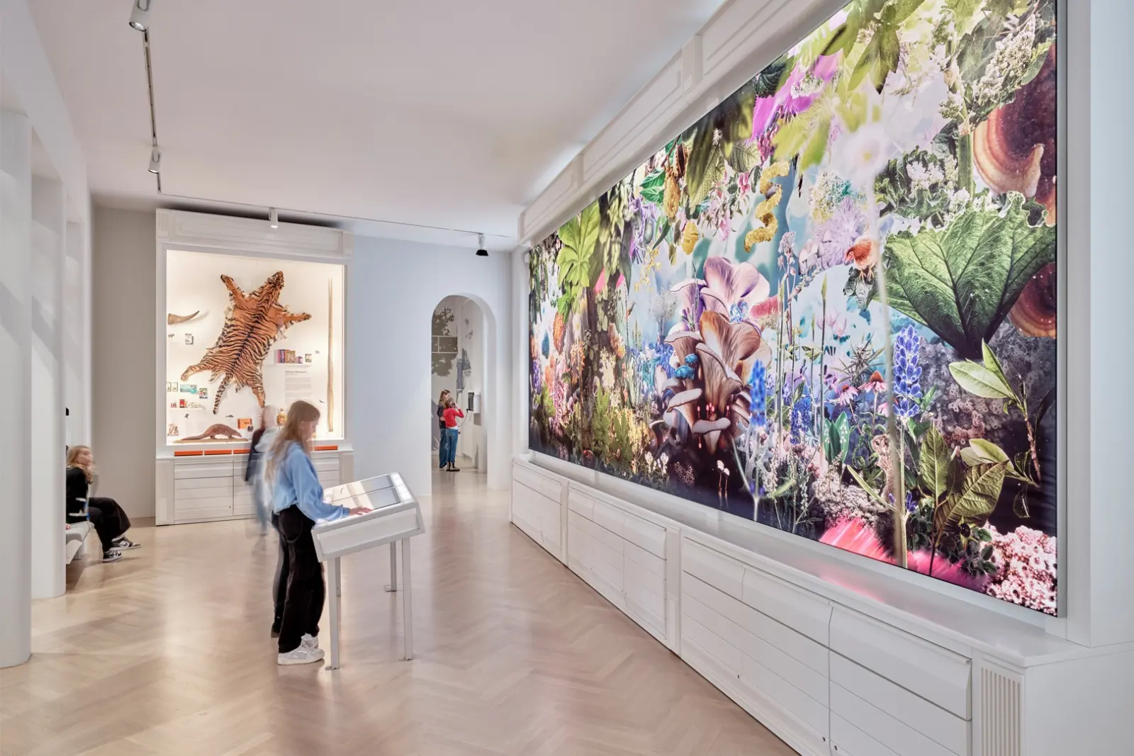 Natur + Medizin — Ausstellungsraum mit großformatiger Leuchtwand aus Pflanzen-Collagen