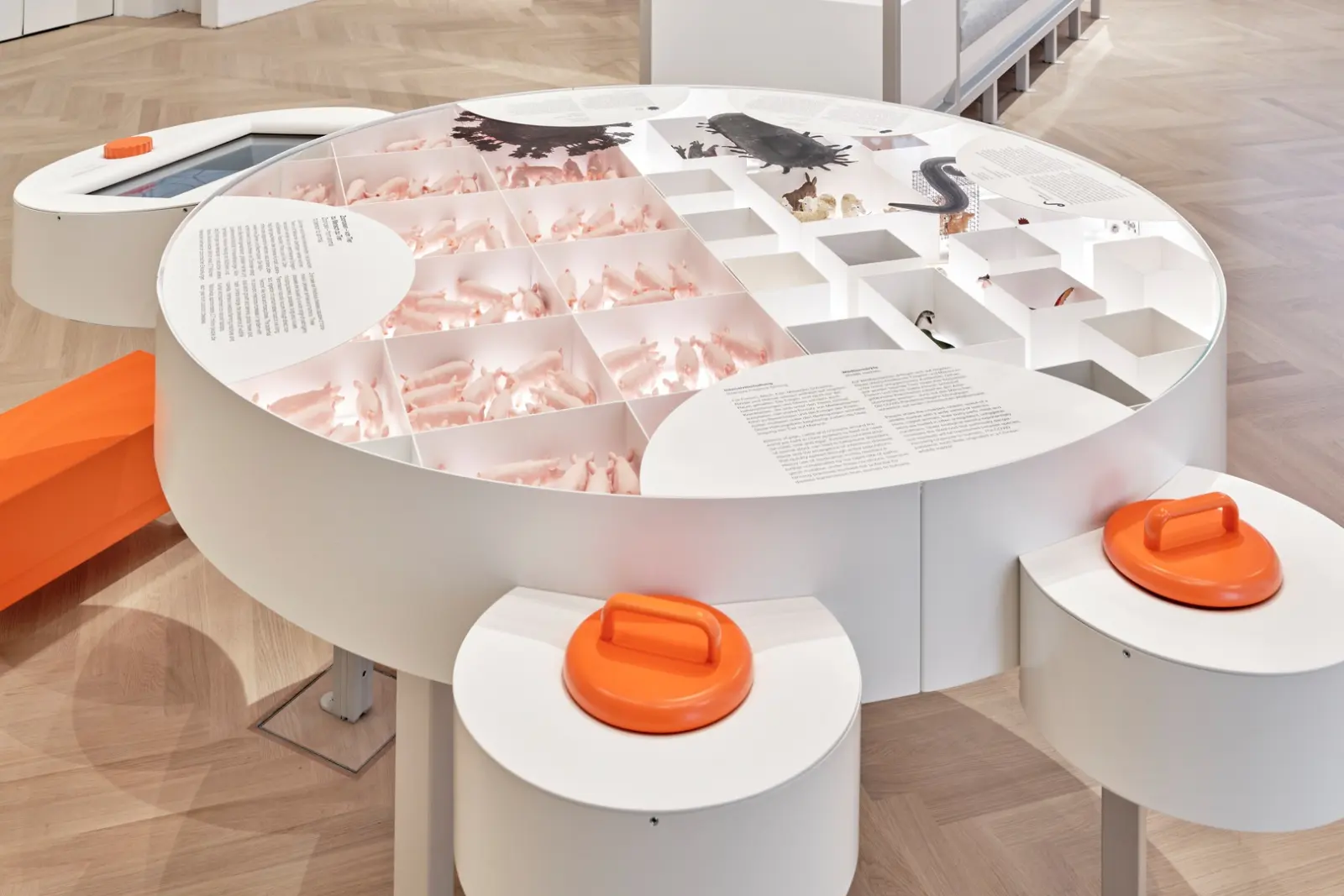 Natur + Medizin — Ausstellungsansicht