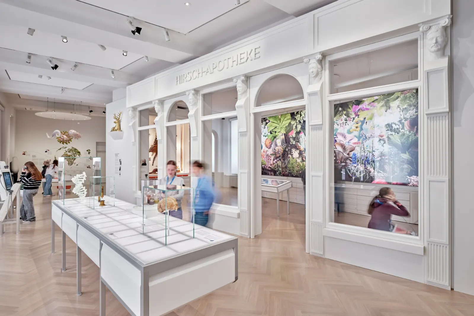 Natur + Medizin — Ausstellungsansicht