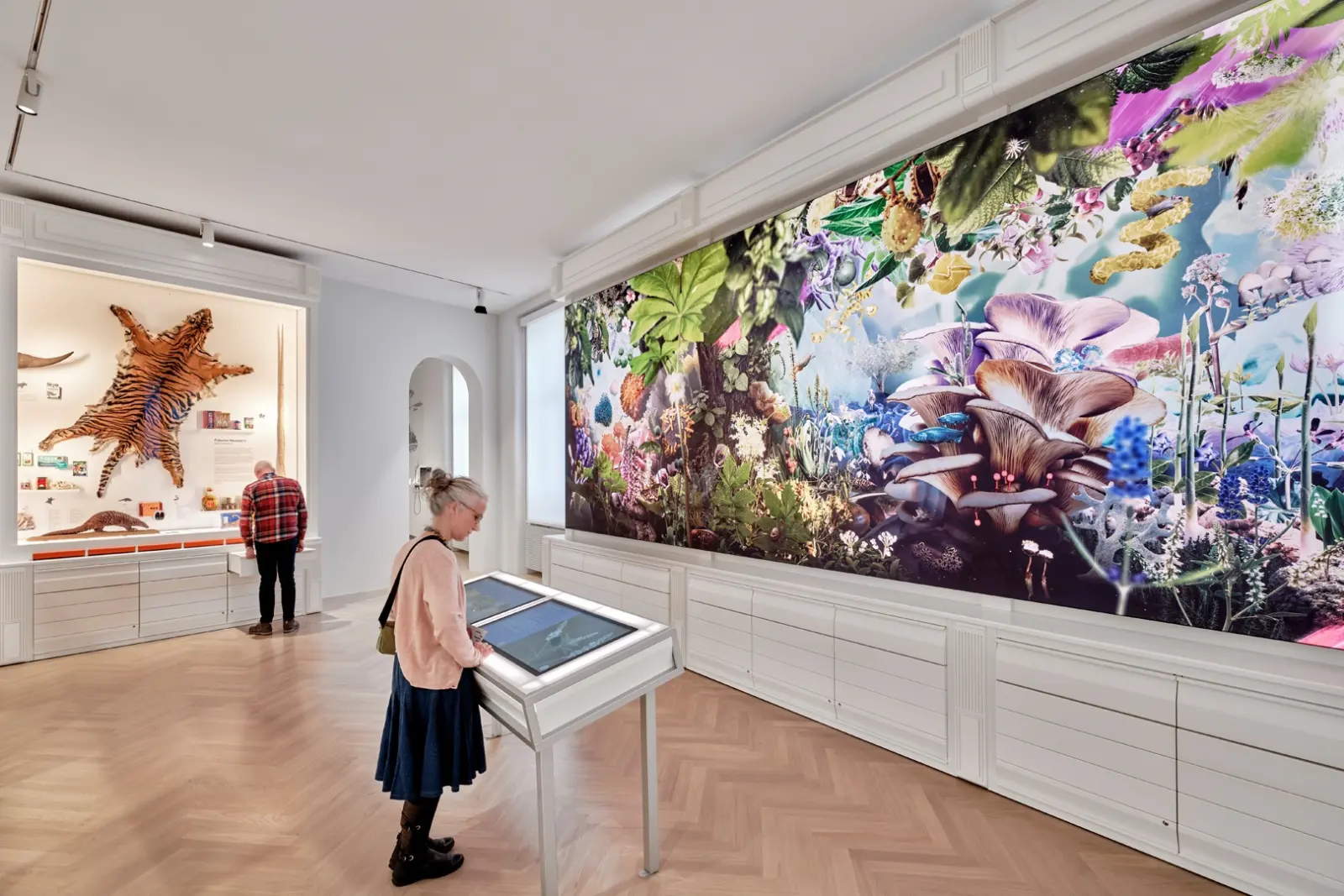 Natur + Medizin — Ausstellungsansicht