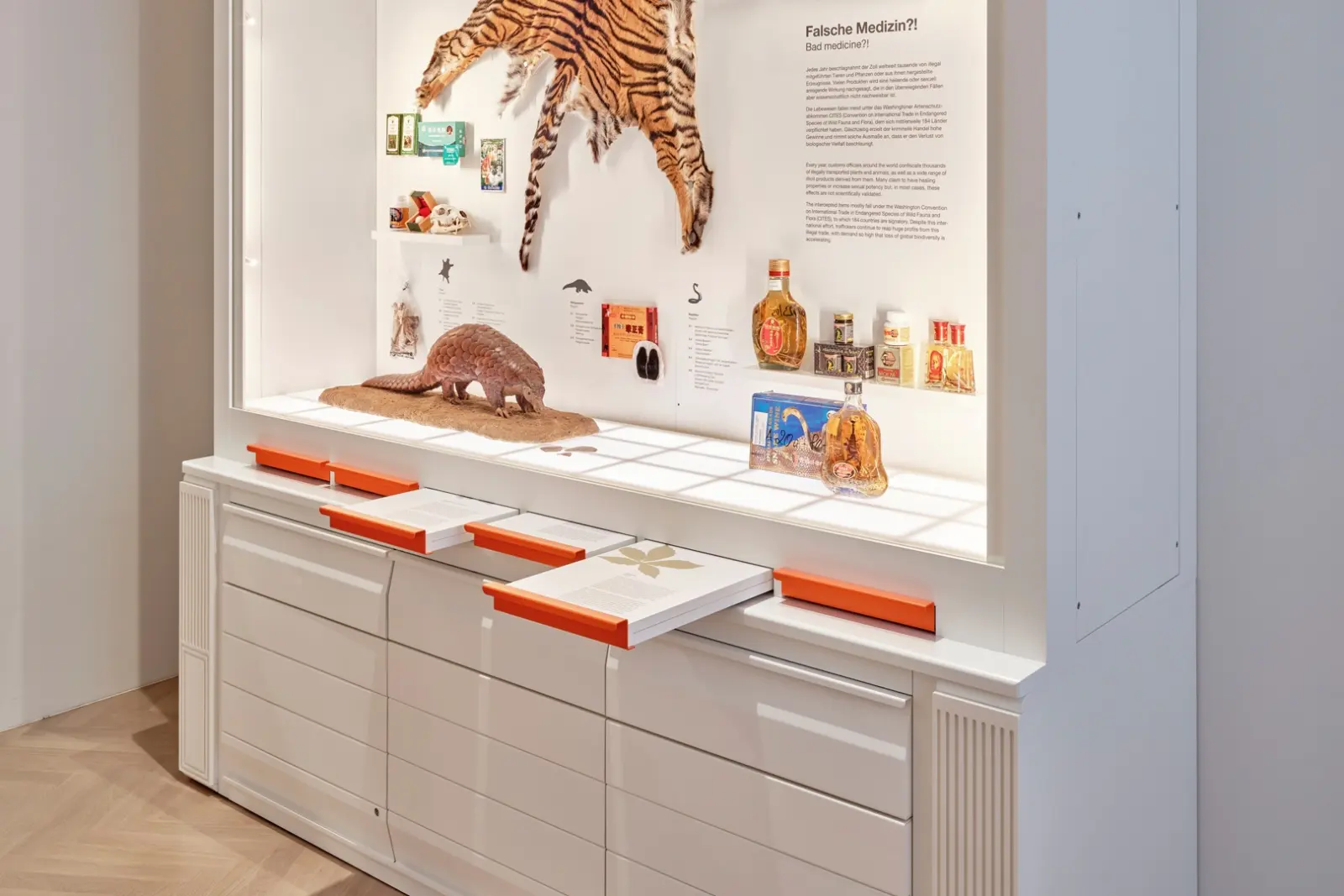 Natur + Medizin — Ausstellungsgrafik im Raum