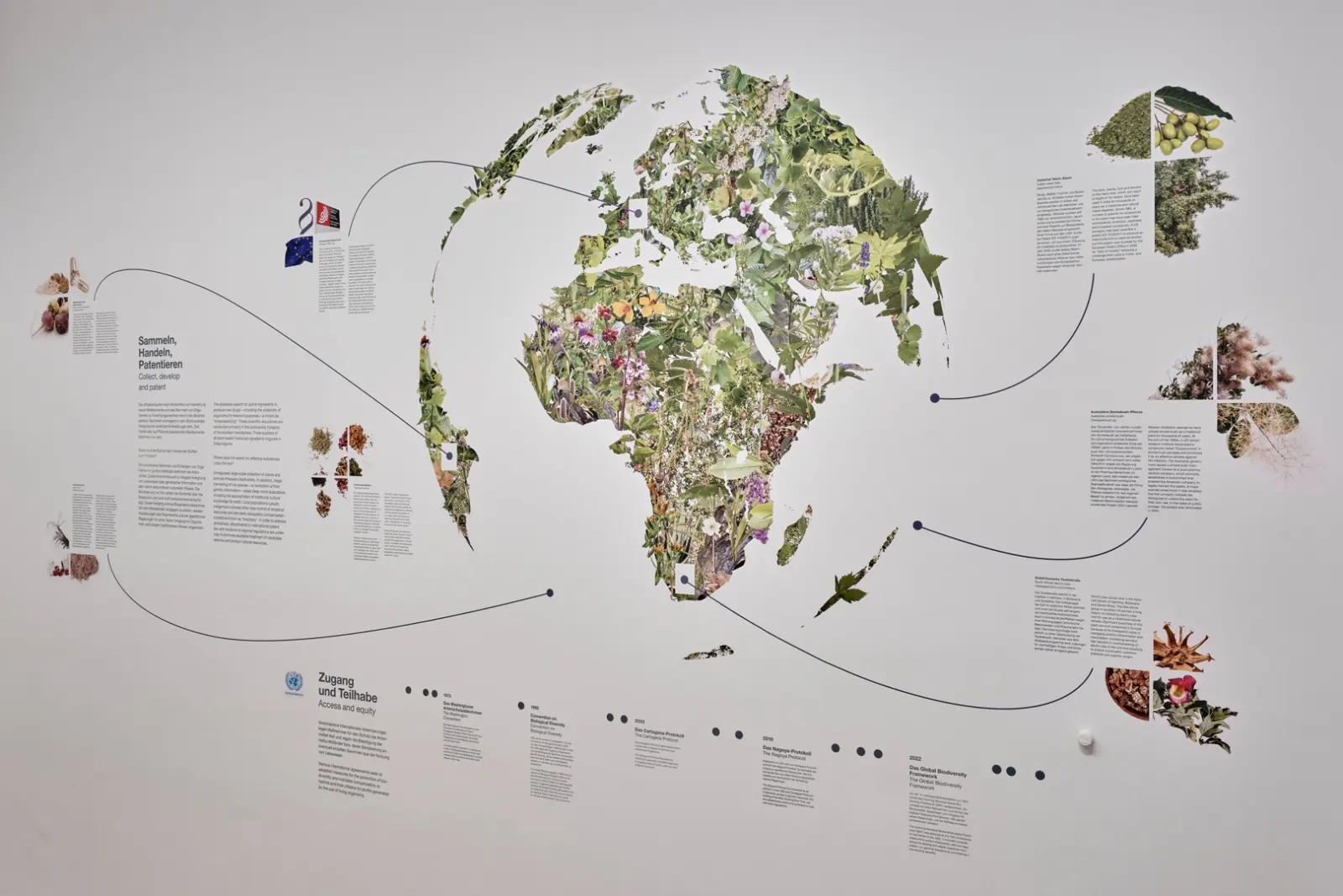 Natur + Medizin — Ausstellungsansicht