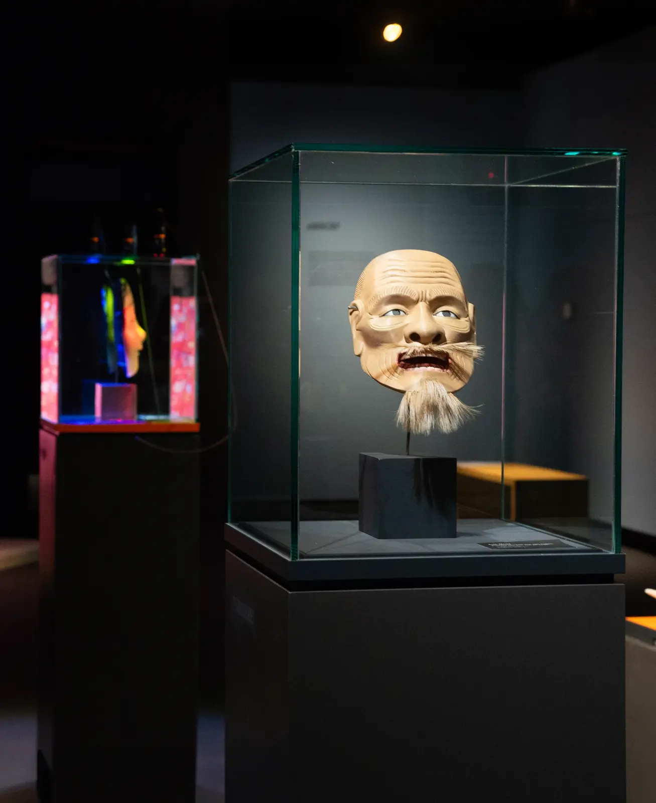 Friendly Takeover — Intervention im Bernischen Historischen Museum